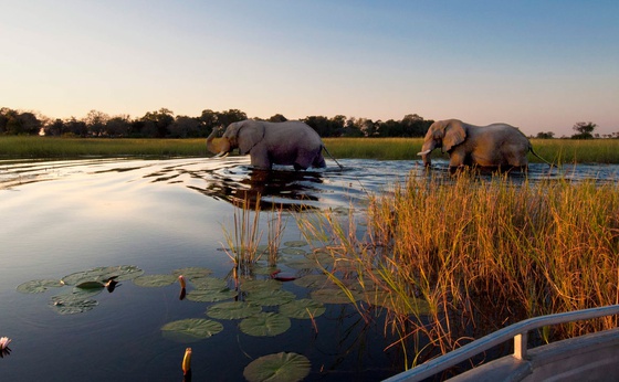 16-Day Namibia, Delta, Chobe & Victoria Falls Private Guided Safari